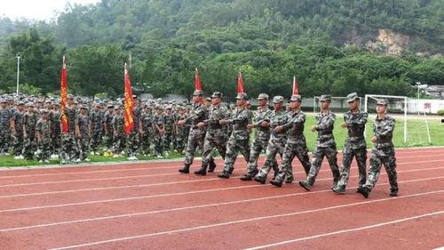 吃瓜军训跳舞全部视频在线观看,舞蹈视频全集在线观看