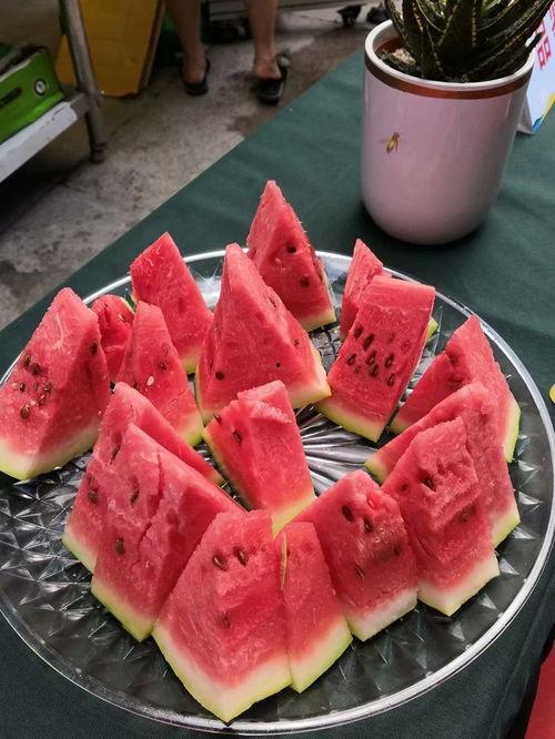 中卫吃瓜视频全集播放,揭秘幕后真相，带你领略网络风云