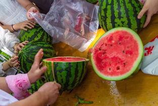 西安吃瓜的视频,一网打尽地道美食与趣味瞬间