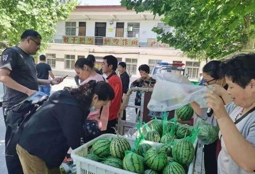 即墨吃瓜群众事件视频最新,网络围观下的社会现象解析