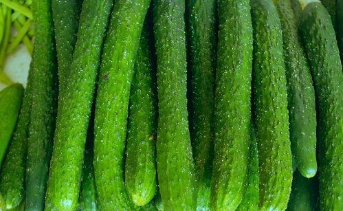 脆瓜儿怎么炒菜吃视频教程,家常美味轻松学