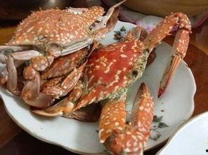 吃花蟹能吃白瓜吗视频,美味海鲜的完美组合揭秘