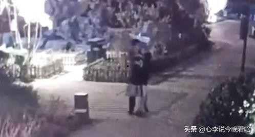 周一吃瓜视频完整版,揭秘娱乐圈幕后真相，带你领略明星真实生活