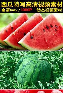 吃瓜撑肚子视频素材大全,肚子笑疼了！