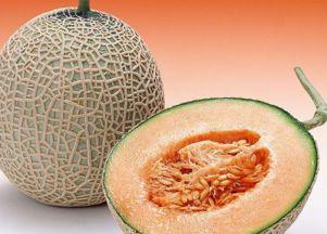 陈祥榕吃哈密瓜视频,哈密瓜美食之旅