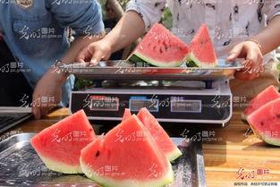 聊城吃瓜最新事件视频