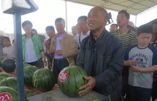 清远吃瓜群众新闻视频最新,最新新闻视频揭秘惊人内幕