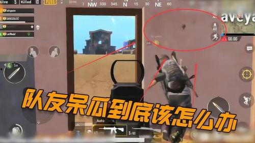 吃鸡呆瓜操作教学视频,新手入门必备攻略