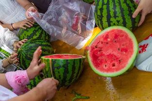 比较有名的吃瓜视频,一场视觉盛宴背后的故事