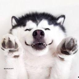 吃瓜群众傻妞视频大全,笑料百出，欢乐无限