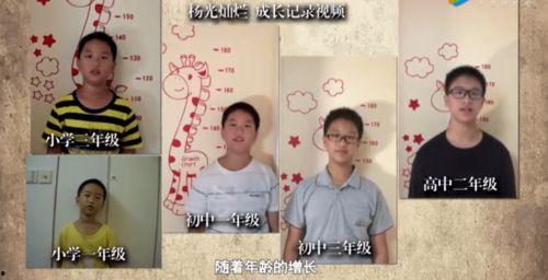 各大校园吃瓜事件视频播放,视频播放量揭秘校园热点事件