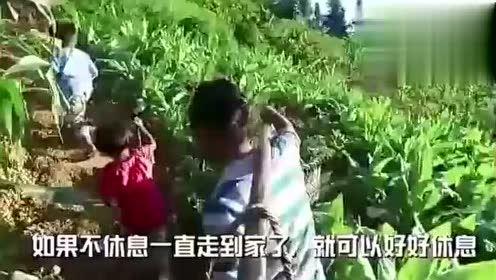 表哥下雨吃瓜视频下载,表哥吃瓜视频下载，尽享夏日清凉时光