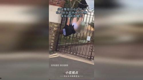 吃瓜拍视频警察,揭秘网络直播中的执法瞬间