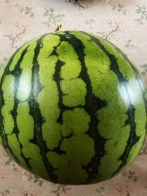 吃瓜点评表演视频,揭秘表演视频背后的精彩瞬间