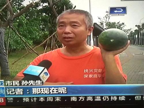 最近一线吃瓜群众事件视频,揭秘幕后真相